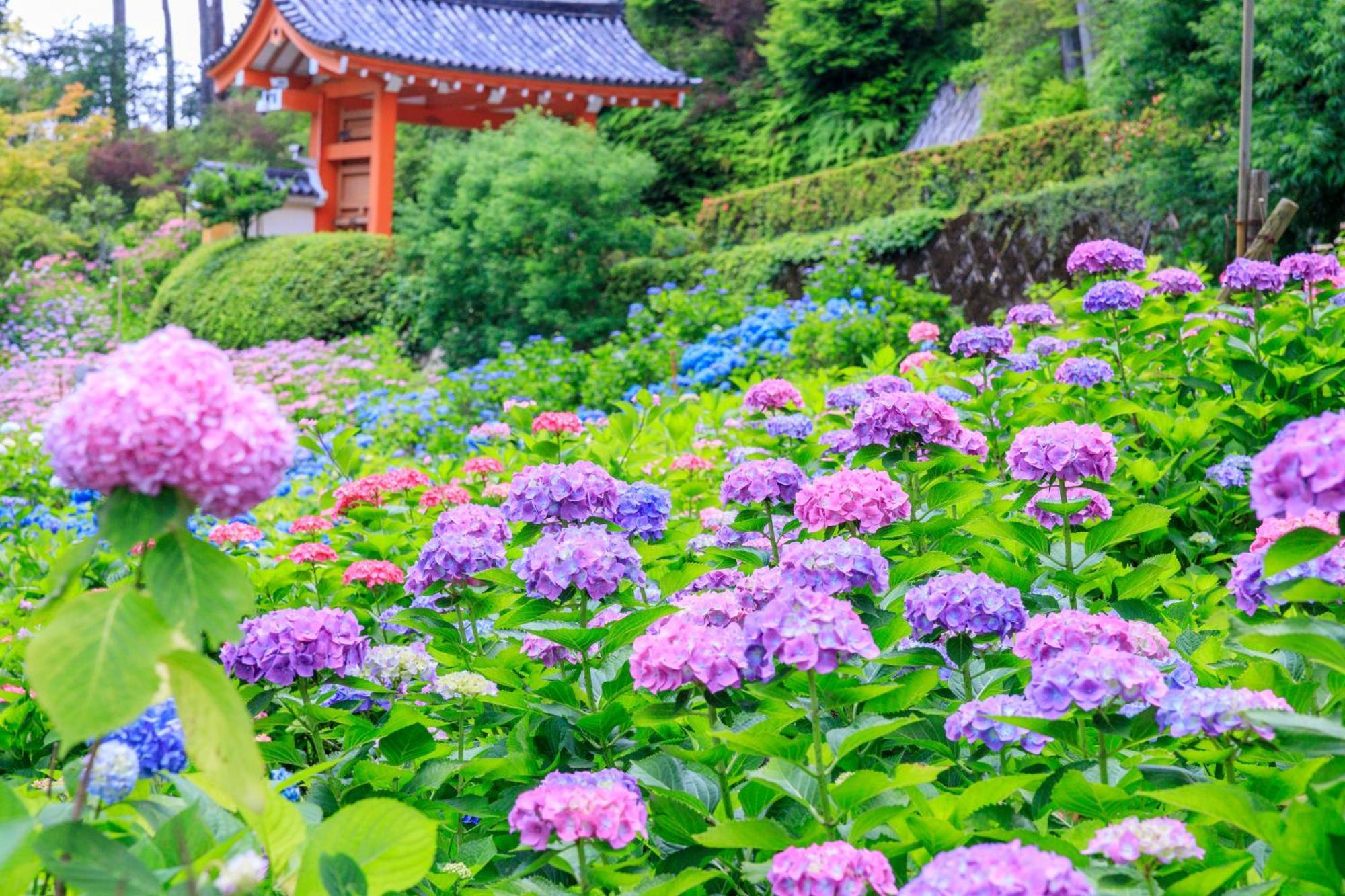 Mimaru Suites Kyoto Shijo المظهر الخارجي الصورة